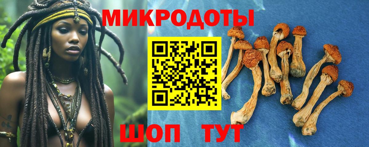 Псилоцибиновые грибы Cubensis Кстово