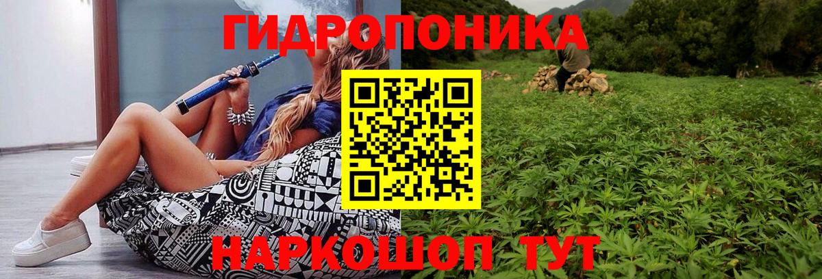 Бошки марихуана сатива Кстово